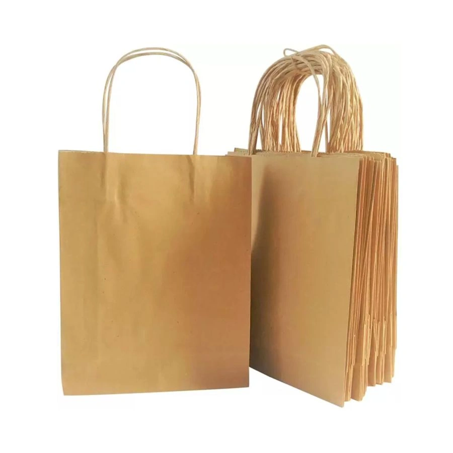 Carry bags-5