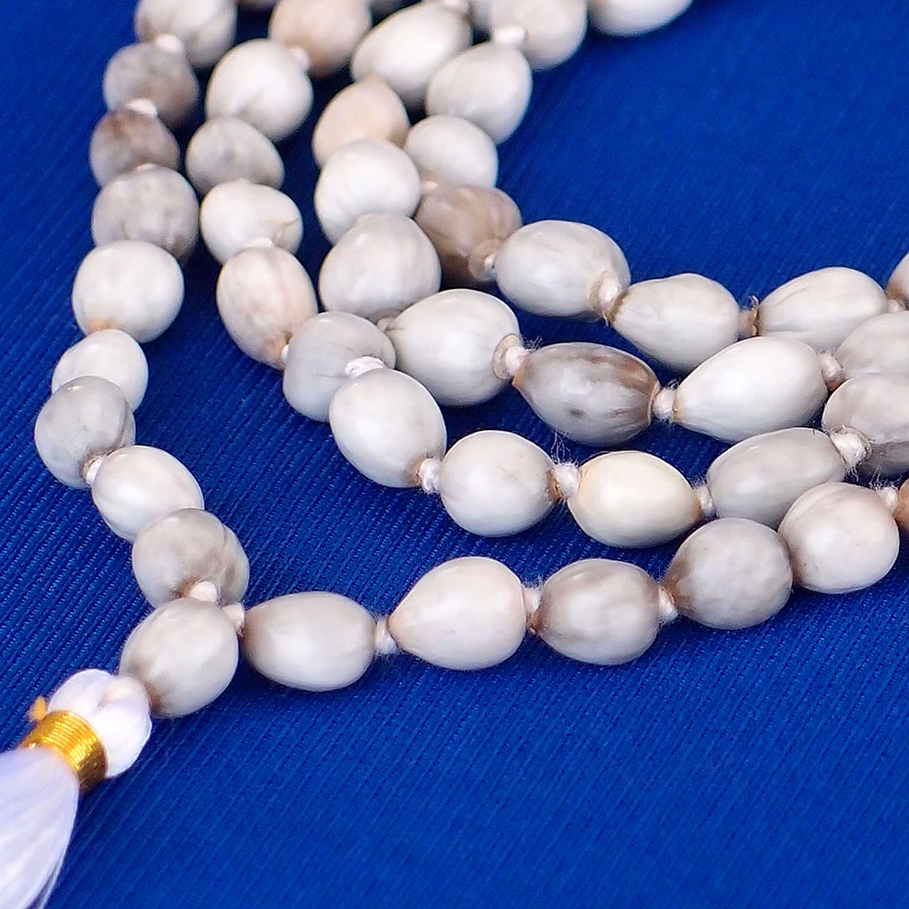 Vaijanti Mala image 3
