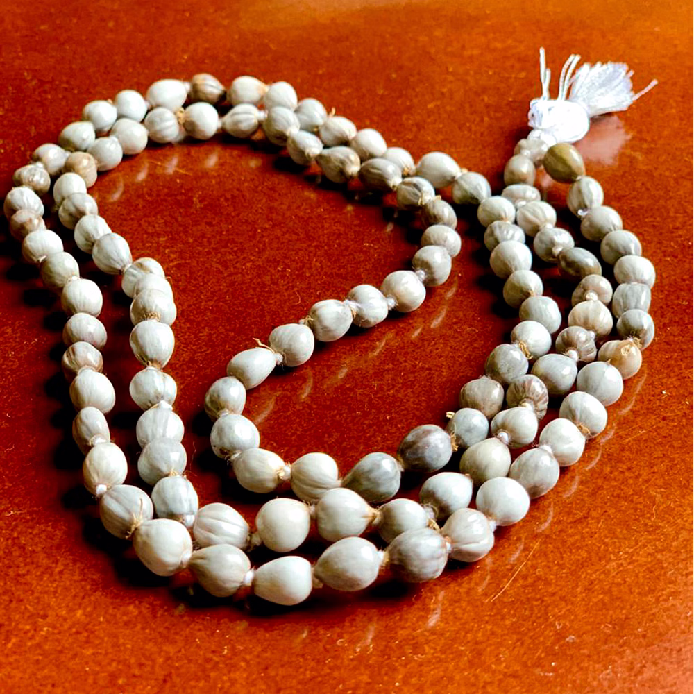 Vaijanti Mala image 2