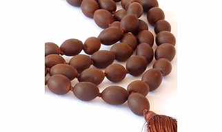 Lotus Seed Mala Beads