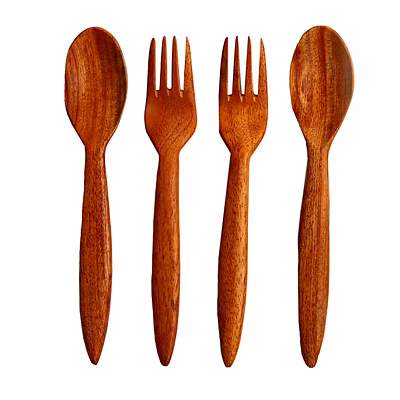 neem wood cutlery set - adult