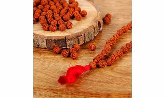 Mala Beads - Rudraksh
