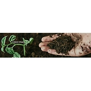 coir pith