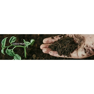 coir pith