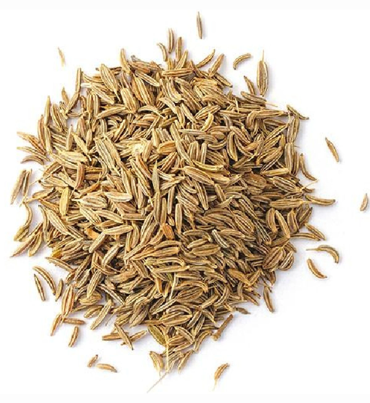 Cumin Seeds-3