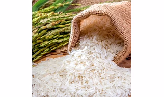 Sona Massori Basmati