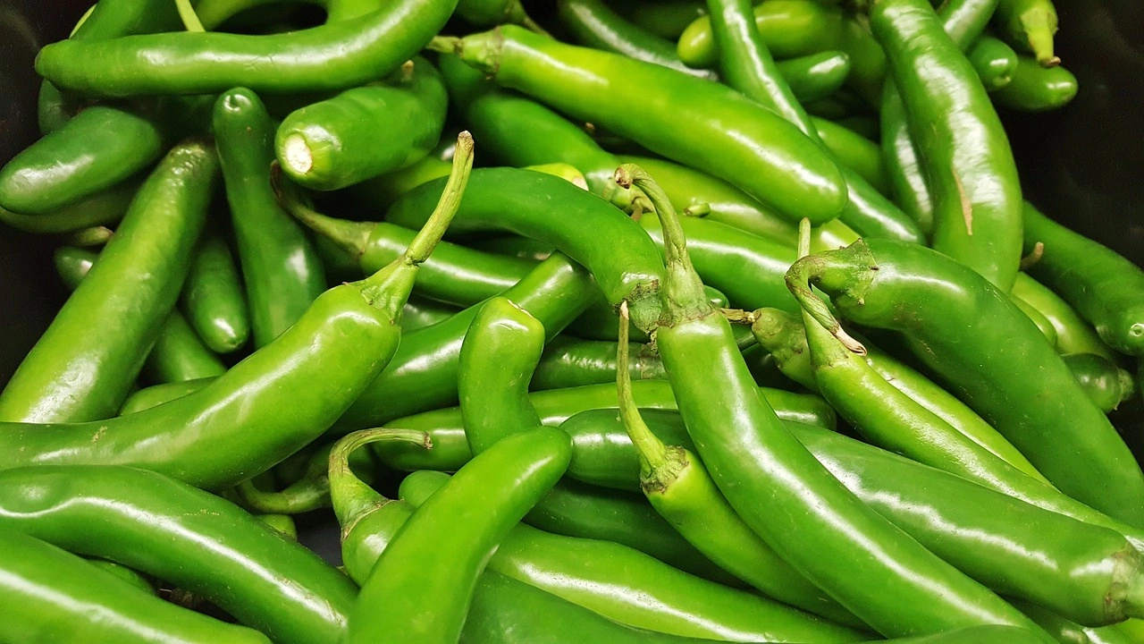 Green Chillies-Aru1004