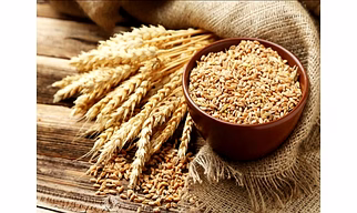 Wheat