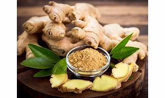 Ginger