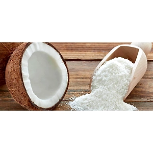 Desiccated Coconut Powder