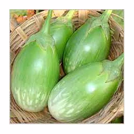 odisha brinjal
