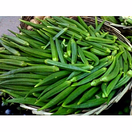 odisha lady finger