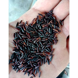 organic black rice