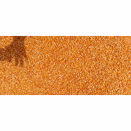 corn