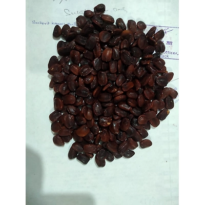 ORGANIC NOP TAMARIND SEEDS-4