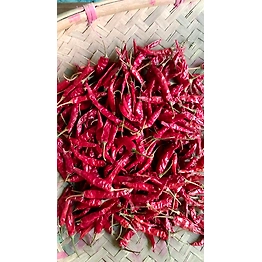 DALAI IMPEX RED CHILLY KUCHINDA A1 RED CHILLY