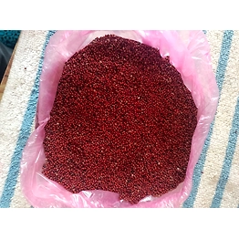 ODISHA MILLETS RAGI