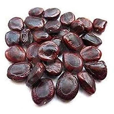 ORGANIC NOP TAMARIND SEEDS-5