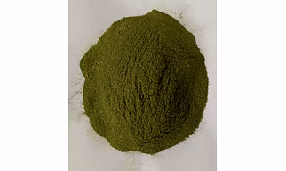 ODISHA ORGANIC MORINGA POWDER
