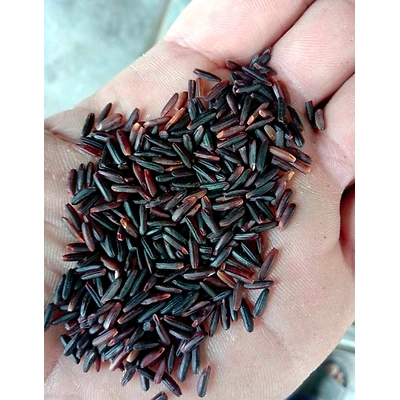 ORGANIC BLACK RICE-12694267