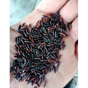 ORGANIC BLACK RICE