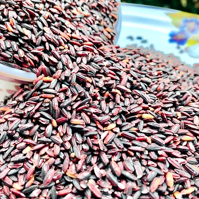 ORGANIC BLACK RICE-1