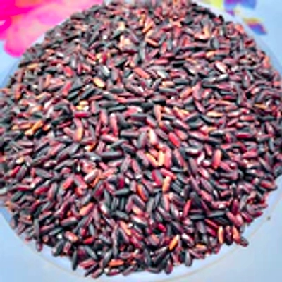 ORGANIC BLACK RICE-2