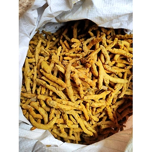 ODISHA ROMA TURMERIC