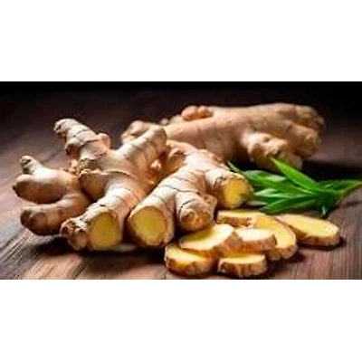 ODISHA KORAPUT GINGER-2