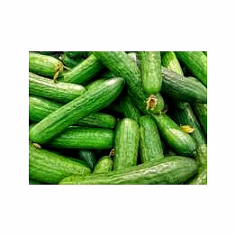 cucumber
