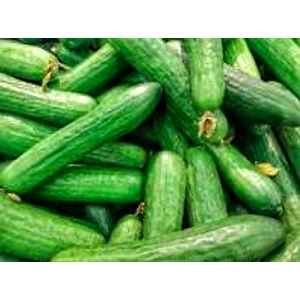 CUCUMBER