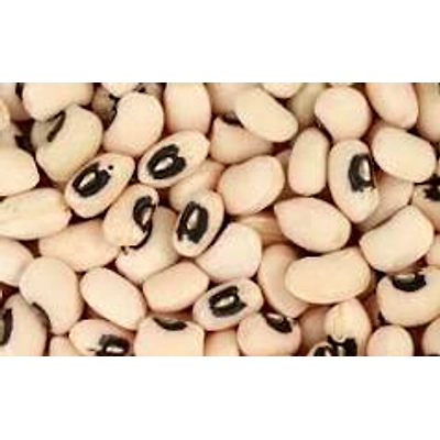 ODISHA COWPEA-2