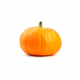 odisha pumpkin