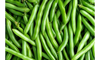 ODISHA BEANS