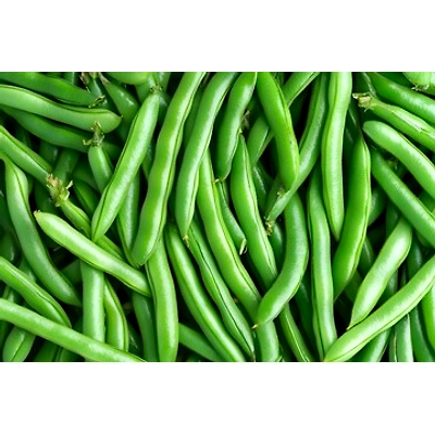 ODISHA BEANS-12167690