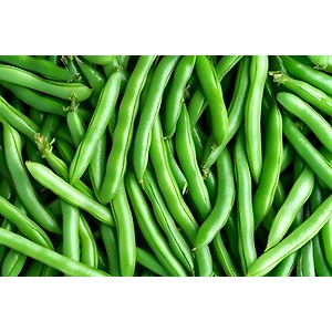 ODISHA BEANS
