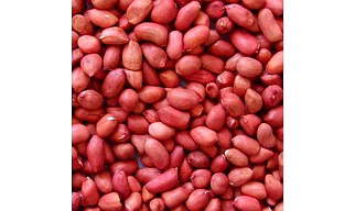 PEA NUTS