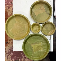 natural disposable sal leaf plates