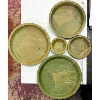 ORGANIC DISPOSABLE SAL LEAF PLATES-12715117