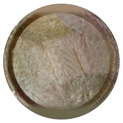 ORGANIC DISPOSABLE SAL LEAF PLATES-1