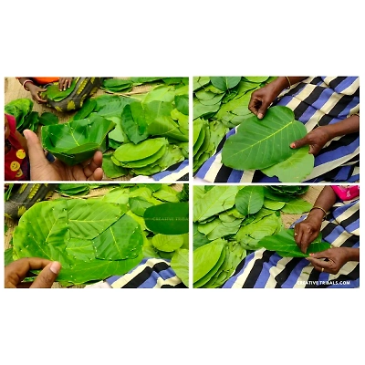 ORGANIC DISPOSABLE SAL LEAF PLATES-3