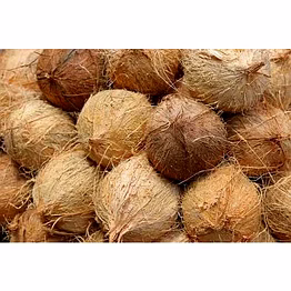 natural coconuts