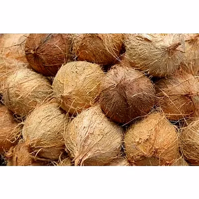 NATURAL COCONUTS-12758053