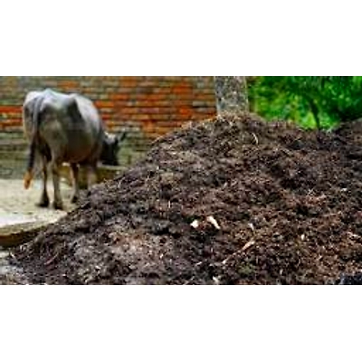 ORGANIC COW DUNG CAKE-3