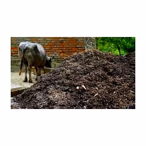 ORGANIC COW DUNG CAKE