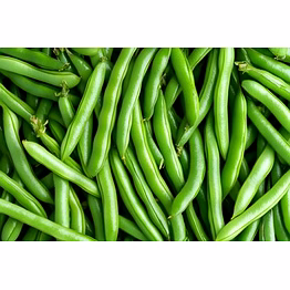 odisha beans
