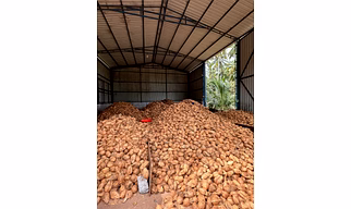 NATURAL COCONUTS