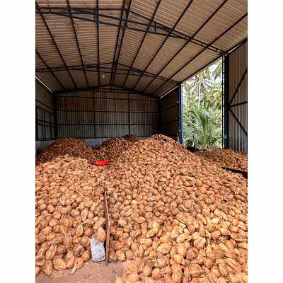 NATURAL COCONUTS-1