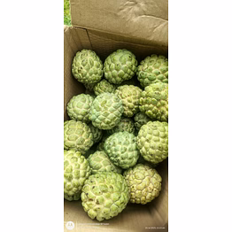 fresh fruits