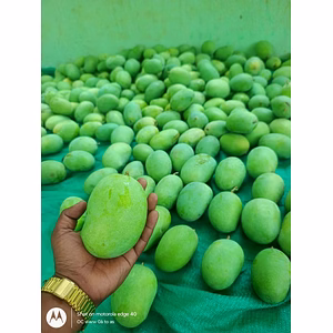 FRESH FRUITS